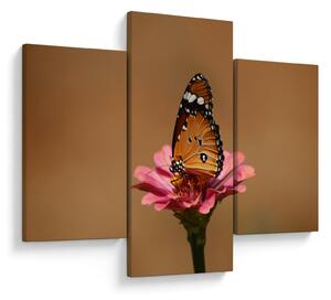 Tablou cu fluture pe floare (90x60 cm)