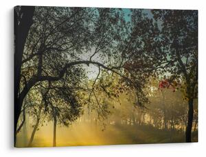 Tablou cu răsărit de soare (70x50 cm)