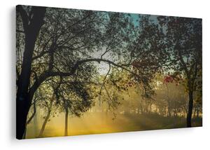Tablou cu răsărit de soare (90x60 cm)