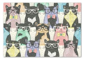 Tablou din Sticlă pisici ochelari
