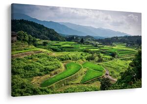 Tablou cu câmp de orez (90x60 cm)