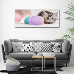 Print pe canvas Cat cu motkami