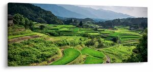 Tablou cu câmp de orez (120x50 cm)