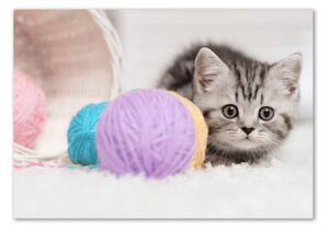 Imagine de sticlă Cat cu motkami