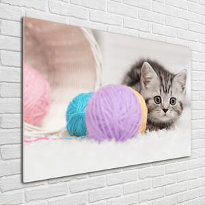Imagine de sticlă Cat cu motkami