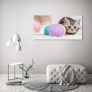 Print pe canvas Cat cu motkami