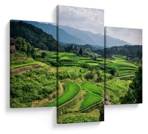 Tablou cu câmp de orez (90x60 cm)