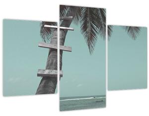 Tablou - Palma în Caraibe (90x60 cm)