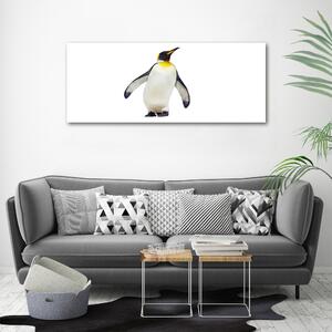 Tablou Printat Pe Sticlă Pinguin