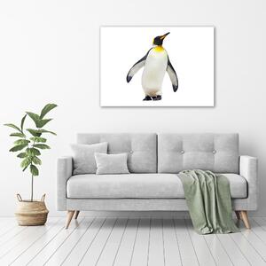 Tablou Printat Pe Sticlă Pinguin