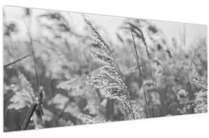 Tablou - Iarba în vânt (120x50 cm)