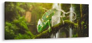 Tablou - cameleon (120x50 cm)