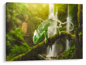 Tablou - cameleon (70x50 cm)