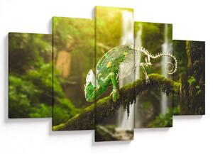 Tablou - cameleon (150x105 cm)