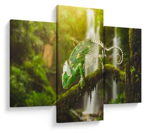 Tablou - cameleon (90x60 cm)