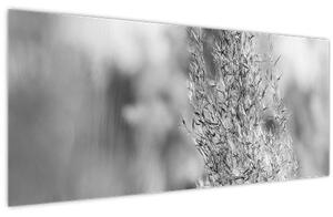 Tablou - Iarbă de pampas Boho (120x50 cm)