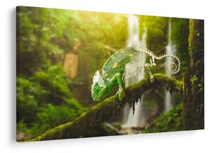 Tablou - cameleon (90x60 cm)