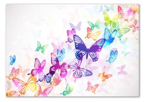 Fotografie imprimată pe sticlă fluturi colorat
