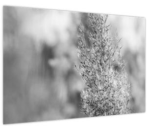 Tablou - Iarbă de pampas Boho (90x60 cm)
