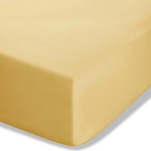 Cearceaf galben din bumbac percale cu elastic 90x190 cm Easy Iron Percale – Catherine Lansfield