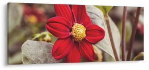 Tablou cu floare (120x50 cm)