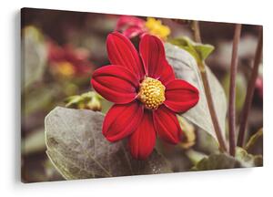Tablou cu floare (90x60 cm)