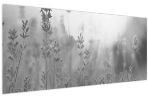 Tablou - Lavanda (120x50 cm)