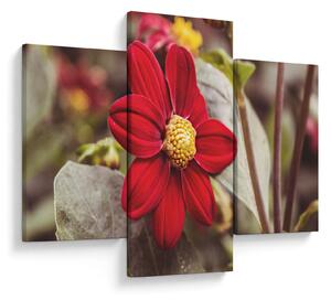 Tablou cu floare (90x60 cm)