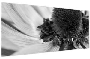 Tablou - Floare în alb-negru (120x50 cm)
