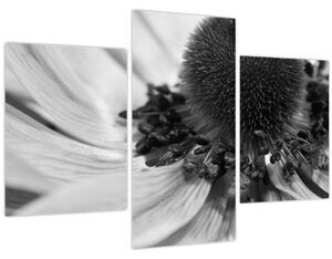 Tablou - Floare în alb-negru (90x60 cm)