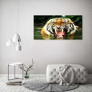 Fotografie imprimată pe sticlă hohotitor tigru