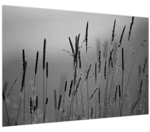 Tablou - Lamele de iarbă (90x60 cm)