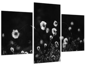 Tablou - Pajiște cu iarbă de cozonac N⁰1 (90x60 cm)