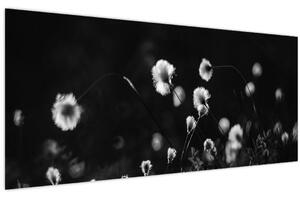 Tablou - Pajiște cu iarbă de cozonac N⁰1 (120x50 cm)