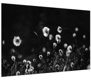 Tablou - Pajiște cu iarbă de cozonac N⁰1 (90x60 cm)