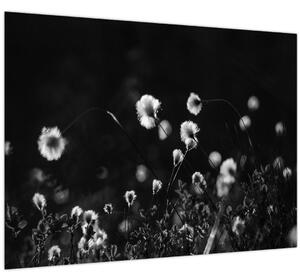 Tablou pe sticlă - Pajiște cu iarbă de cozonac N⁰1 (70x50 cm)