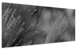 Tablou - Iarbă de pampas uscată (120x50 cm)