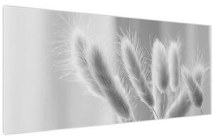 Tablou - Iarbă de coadă de iepure (120x50 cm)