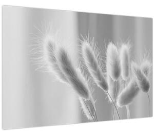 Tablou - Iarbă de coadă de iepure (90x60 cm)