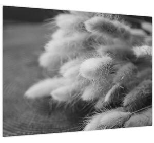 Tablou pe sticlă - iarbă de coadă de iepure pe masă (70x50 cm)