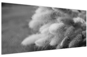 Tablou - iarbă de coadă de iepure pe masă (120x50 cm)