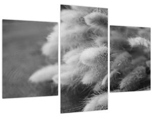 Tablou - iarbă de coadă de iepure pe masă (90x60 cm)