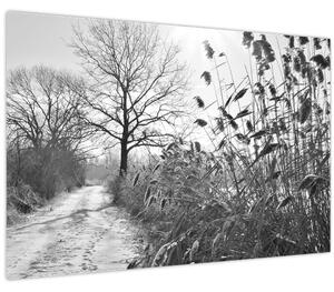 Tablou - Câmpuri în timpul iernii (90x60 cm)
