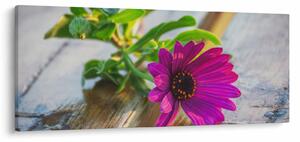 Tablou flori tăiate (120x50 cm)