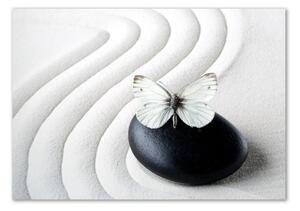 Tablou pe pe sticlă piatra Zen și fluture