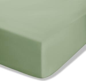 Cearceaf verde din bumbac percale cu elastic 90x190 cm Easy Iron Percale – Catherine Lansfield