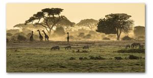 Tablou sticlă Girafele pe savana
