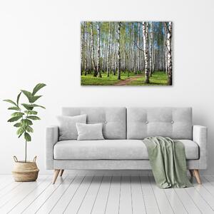 Imagine de sticlă pădurea de mesteacăn