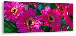 Tablou - floare (120x50 cm)