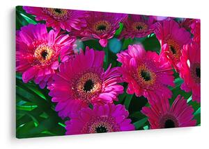 Tablou - floare (90x60 cm)